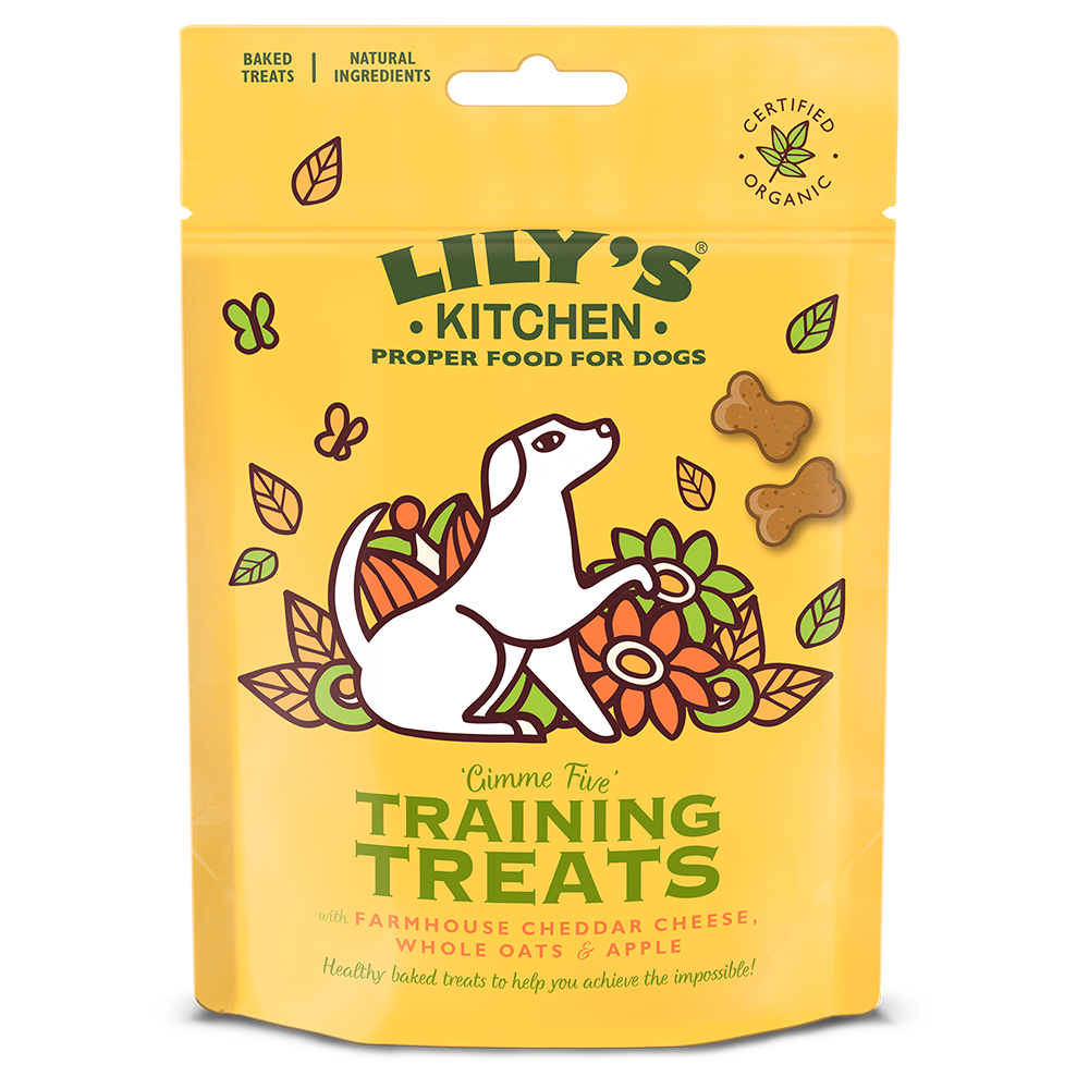 Lily's Kitchen Organic Dog Treats Cheese and Apple Training 80g