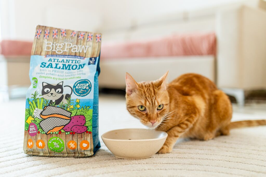 Little Big Paw Atlantic Salmon Complete Dry Food for Adult Cats 350g