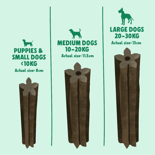 Denzel's Medium Dog Daily Dentals Chews Peanut Butter Peppermint & Parsley 5 Chews