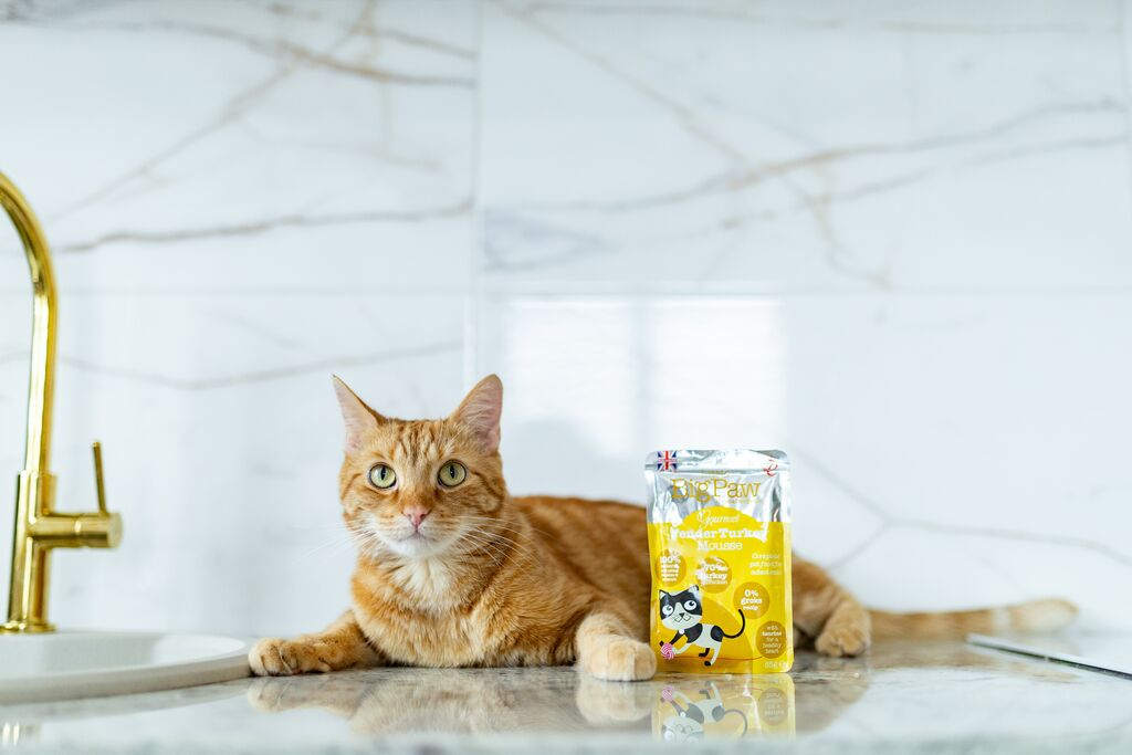 Little Big Paw Gourmet Tender Chicken Mousse for Cats 85g