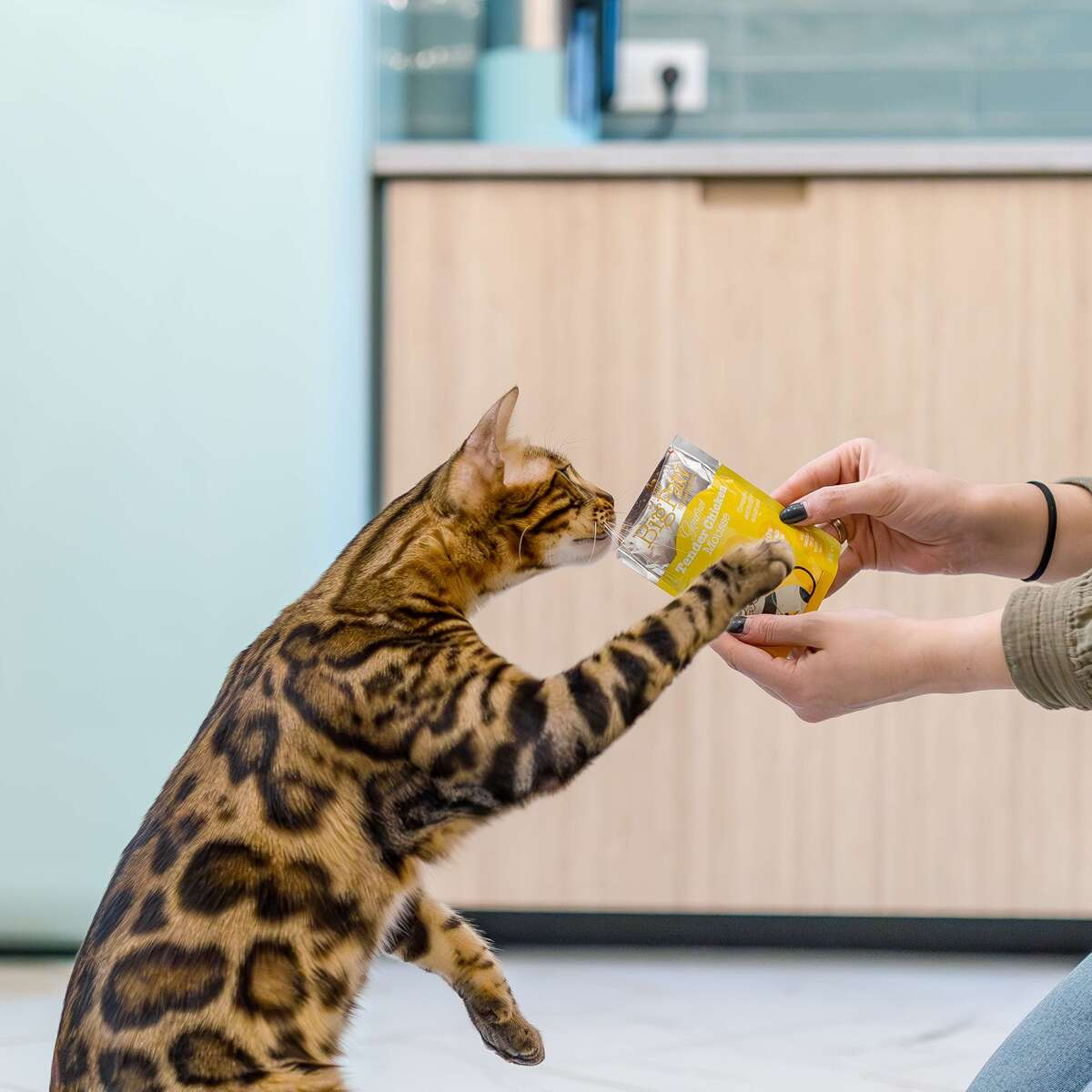 Little Big Paw Gourmet Tender Chicken Mousse for Cats 85g