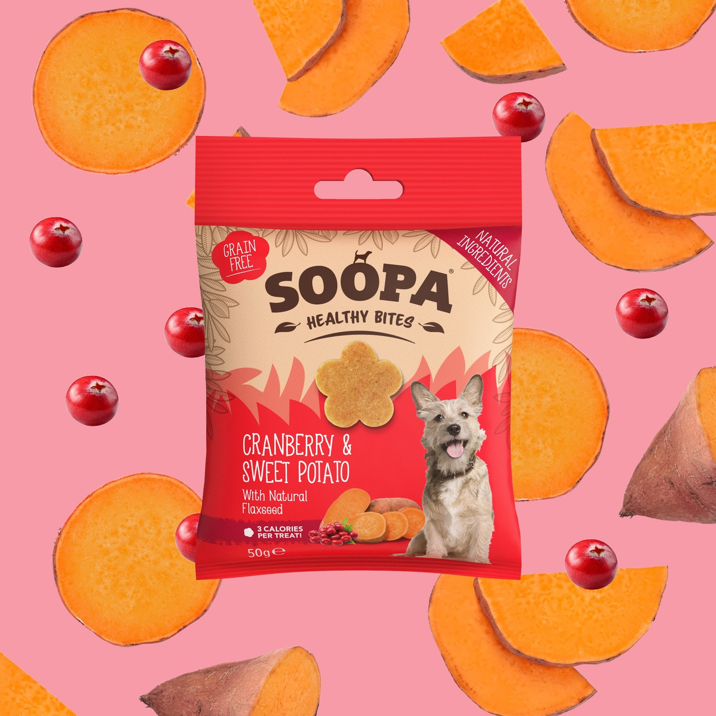 Soopa Dog Treats Cranberry & Sweet Potato Healthy Bites 50g