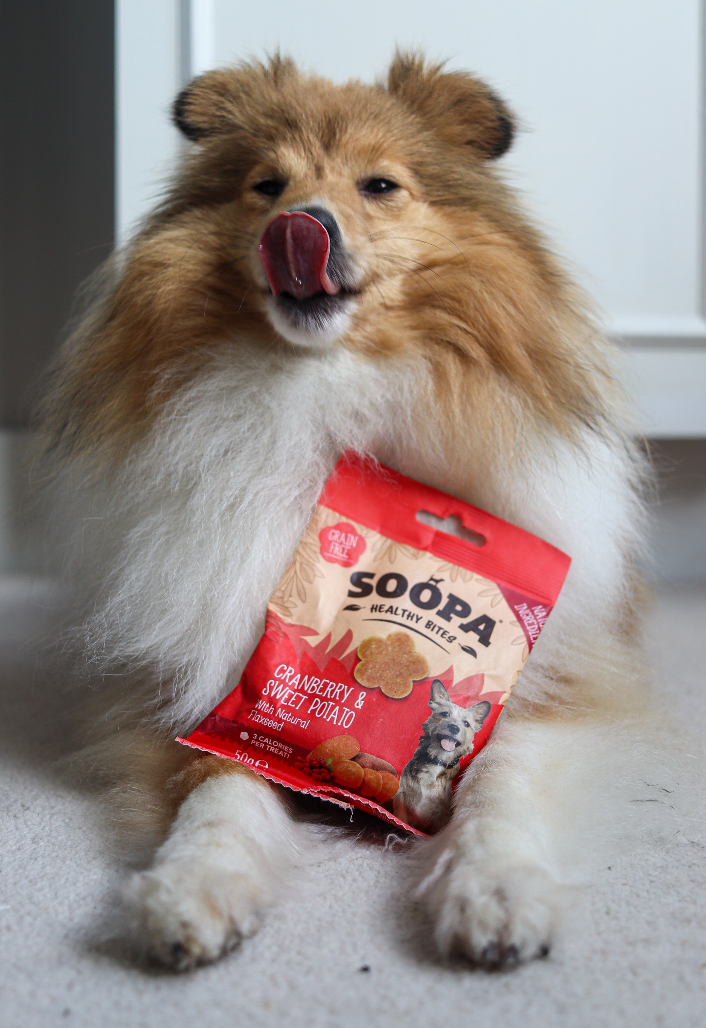 Soopa Dog Treats Cranberry & Sweet Potato Healthy Bites 50g