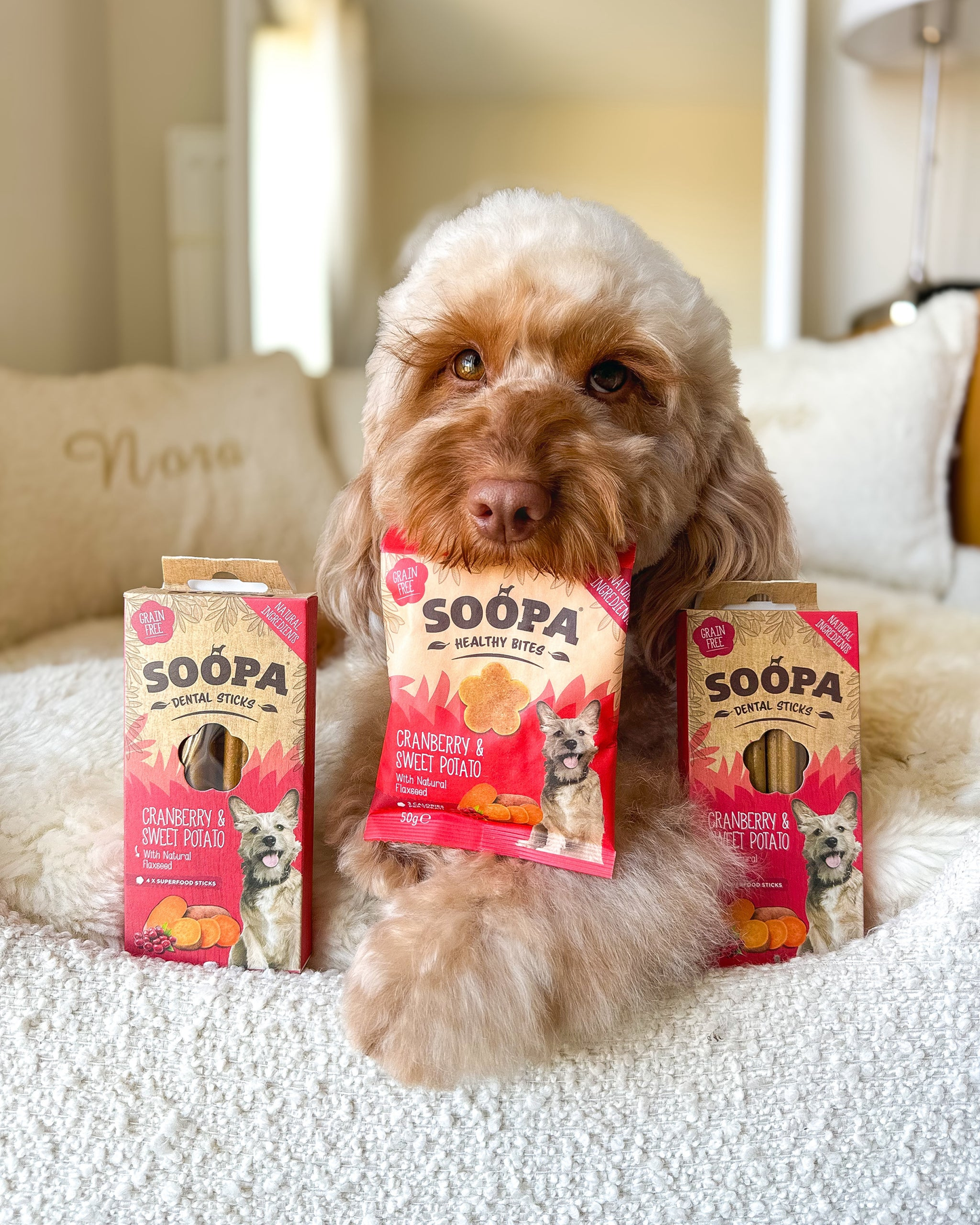 Soopa Dog Treats Cranberry & Sweet Potato Healthy Bites 50g
