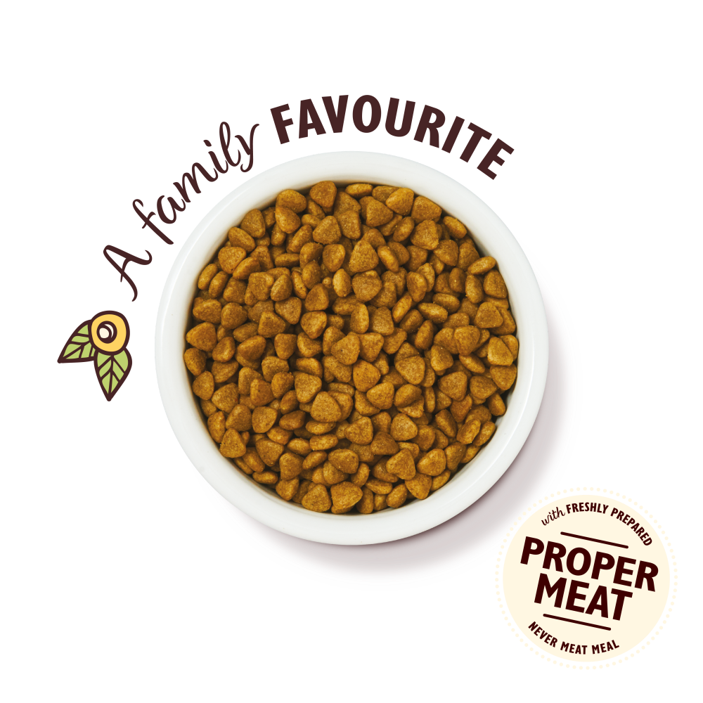 Lily's Kitchen Delicious Chicken & Healthy Herbs Dry Cat Food 800g