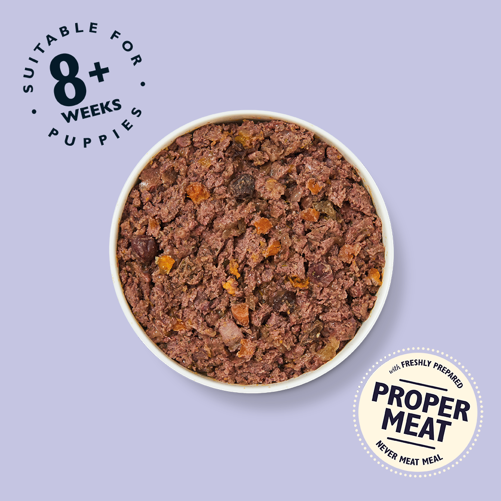 Lily's Kitchen Dog Tin Puppy Recipe Turkey & Duck 400g