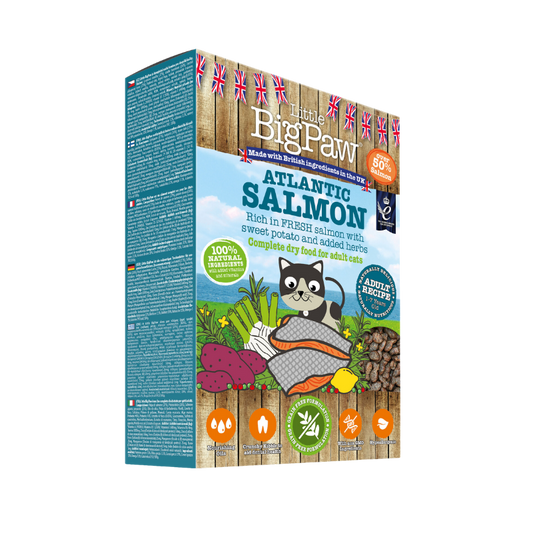 Little Big Paw Atlantic Salmon Complete Dry Food for Adult Cats 350g