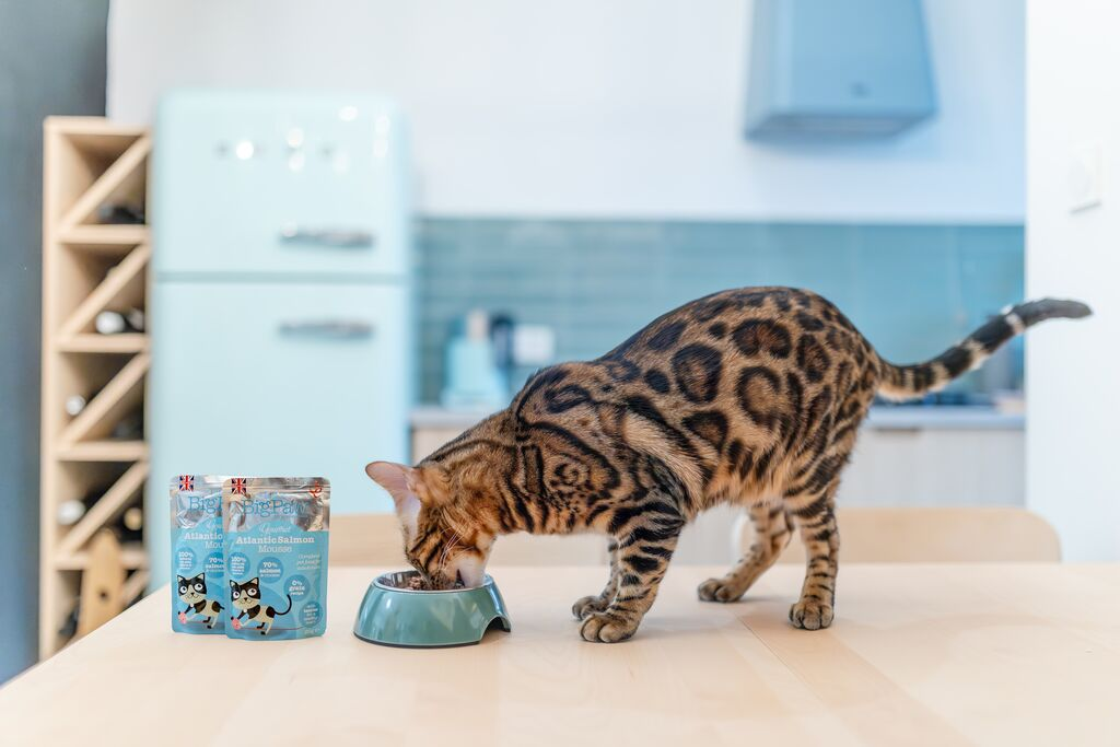 Little Big Paw Gourmet Atlantic Salmon Mousse For Cats 85g
