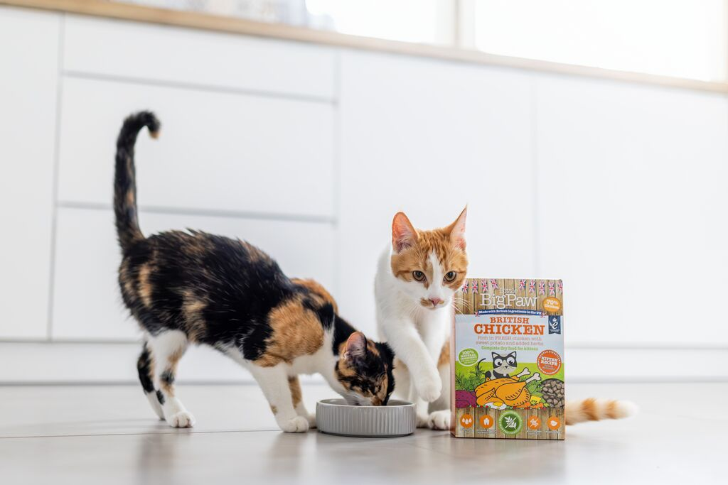 Little Big Paw British Chicken Complete dry food for Kittens 350g