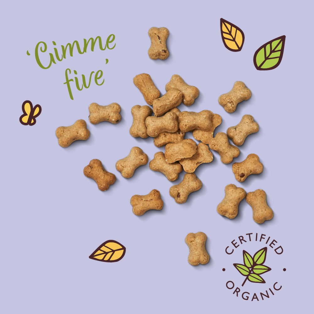 Lily's Kitchen Organic Dog Treats Cheese and Apple Training 80g